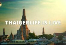 Dive a little deeper into Thai life with ThaigerLife