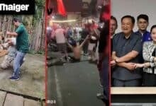Thailand video news | Economic woes could undermine Thai coalition’s stability, Wild elephant ransacks Thai shop for snacks