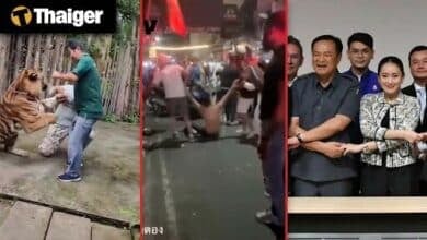 Thailand video news | Economic woes could undermine Thai coalition’s stability, Wild elephant ransacks Thai shop for snacks