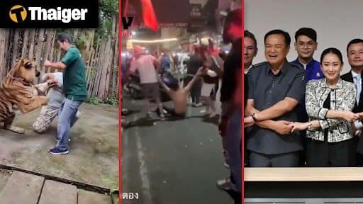 Thailand video news | Economic woes could undermine Thai coalition’s stability, Wild elephant ransacks Thai shop for snacks