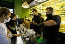 Thailand cannabis crackdown: New prescription rules spark outcry