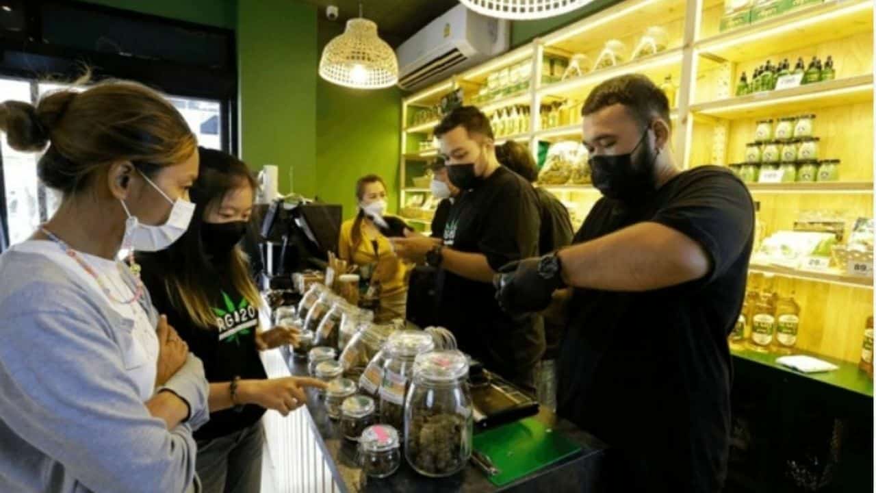 Thailand cannabis crackdown: New prescription rules spark outcry