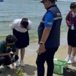 Pattaya beach turns green: Plankton bloom causes panic | Thaiger