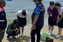 Pattaya beach turns green: Plankton bloom causes panic