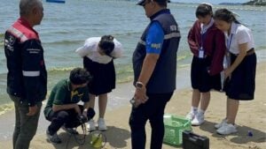 Pattaya beach turns green: Plankton bloom causes panic
