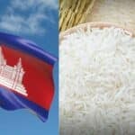 Cambodia accused of mislabelling rice as Thai jasmine in China | Thaiger