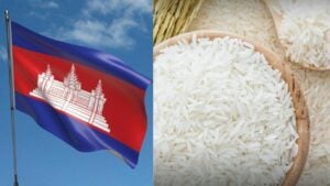 Cambodia accused of mislabelling rice as Thai jasmine in China
