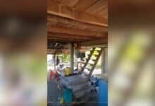 Elderly woman leaps to safety after snake scare in Roi Et (video)