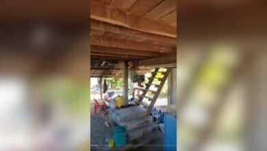 Elderly woman leaps to safety after snake scare in Roi Et (video)