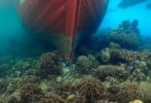 Thailand seeks 12m baht over coral reef damage by cargo ship