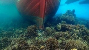 Thailand seeks 12m baht over coral reef damage by cargo ship