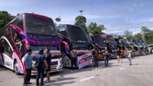Bus operators fight back against Phatthalung road ban