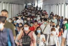 Covid leads Thailand’s disease watchlist with 31 deaths