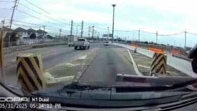 Gecko blamed as toll booth slams car in Chachoengsao chaos (video)