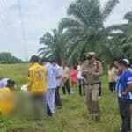 Man dies from electrocution climbing tower in southern Thailand | Thaiger