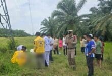 Man dies from electrocution climbing tower in southern Thailand