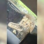 Playful leopard swipes tourist’s flip flop at Kanchanaburi safari (video) | Thaiger