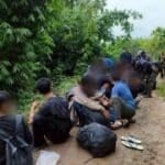 20 Myanmar migrants nabbed in Thai rubber plantation | Thaiger