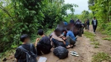 20 Myanmar migrants nabbed in Thai rubber plantation