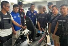 Smoked: Phuket raid seizes 30,000 illegal cigarettes, woman arrested