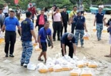 Pattaya releases 100,000 shrimp and sea snails to boost marine life