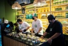 Thailand’s cannabis crackdown: New rules could kill the green rush