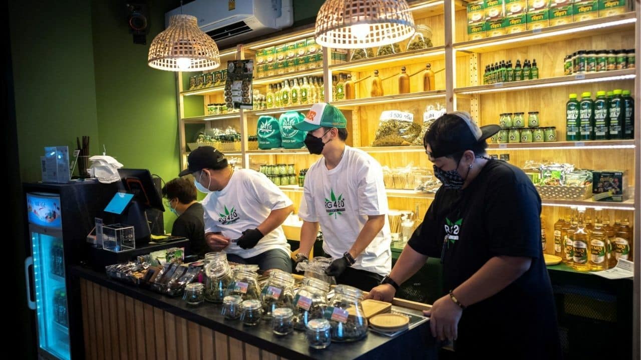 Thailand’s cannabis crackdown: New rules could kill the green rush