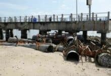 Pattaya deputy mayor leads cleanup of sunken docking buoys