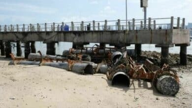Pattaya deputy mayor leads cleanup of sunken docking buoys