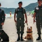 Patong Beach gets bomb squad and sniffer dogs for tourist safety | Thaiger