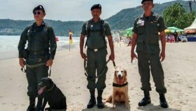 Patong Beach gets bomb squad and sniffer dogs for tourist safety