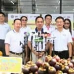 Army and prisoners tackle Thailand’s fruit labour crisis | Thaiger