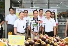 Army and prisoners tackle Thailand’s fruit labour crisis
