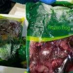 Woman caught smuggling exotic food from Thailand into Australia | Thaiger