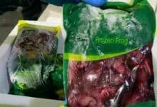 Woman caught smuggling exotic food from Thailand into Australia