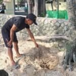 Patong Beach bomb scare: Hidden explosives uncovered in sand | Thaiger