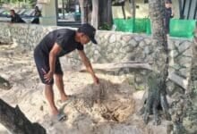 Patong Beach bomb scare: Hidden explosives uncovered in sand