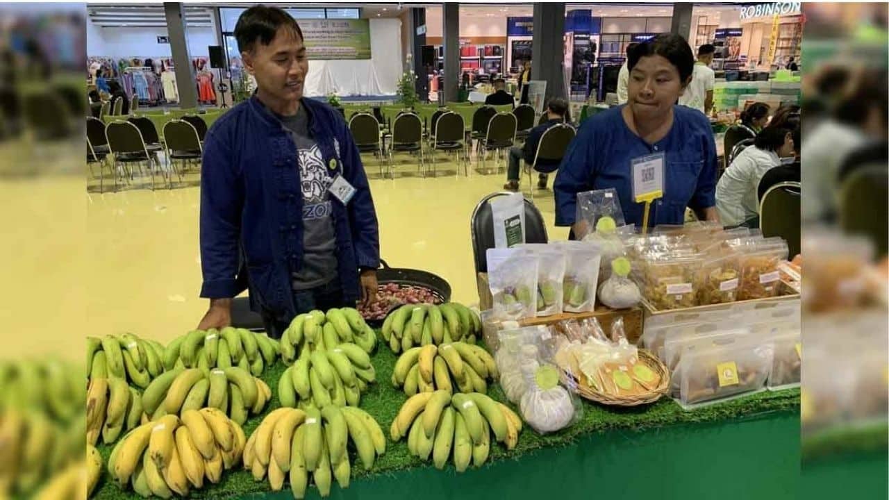 Golden GI banana boom brings millions to Chaiyaphum farmers
