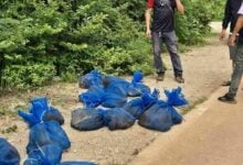 Abandoned macaques found in Thai forest, suspected for illegal sale