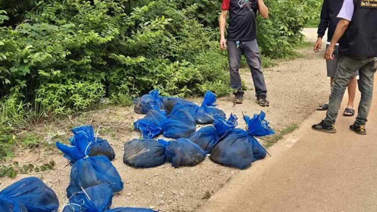 Abandoned macaques found in Thai forest, suspected for illegal sale
