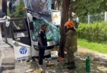 Ten injured as bus of Indian students crashes in Bangkok