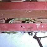 Family in Prachin Buri alarmed by snake invasion