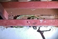 Family in Prachin Buri alarmed by snake invasion