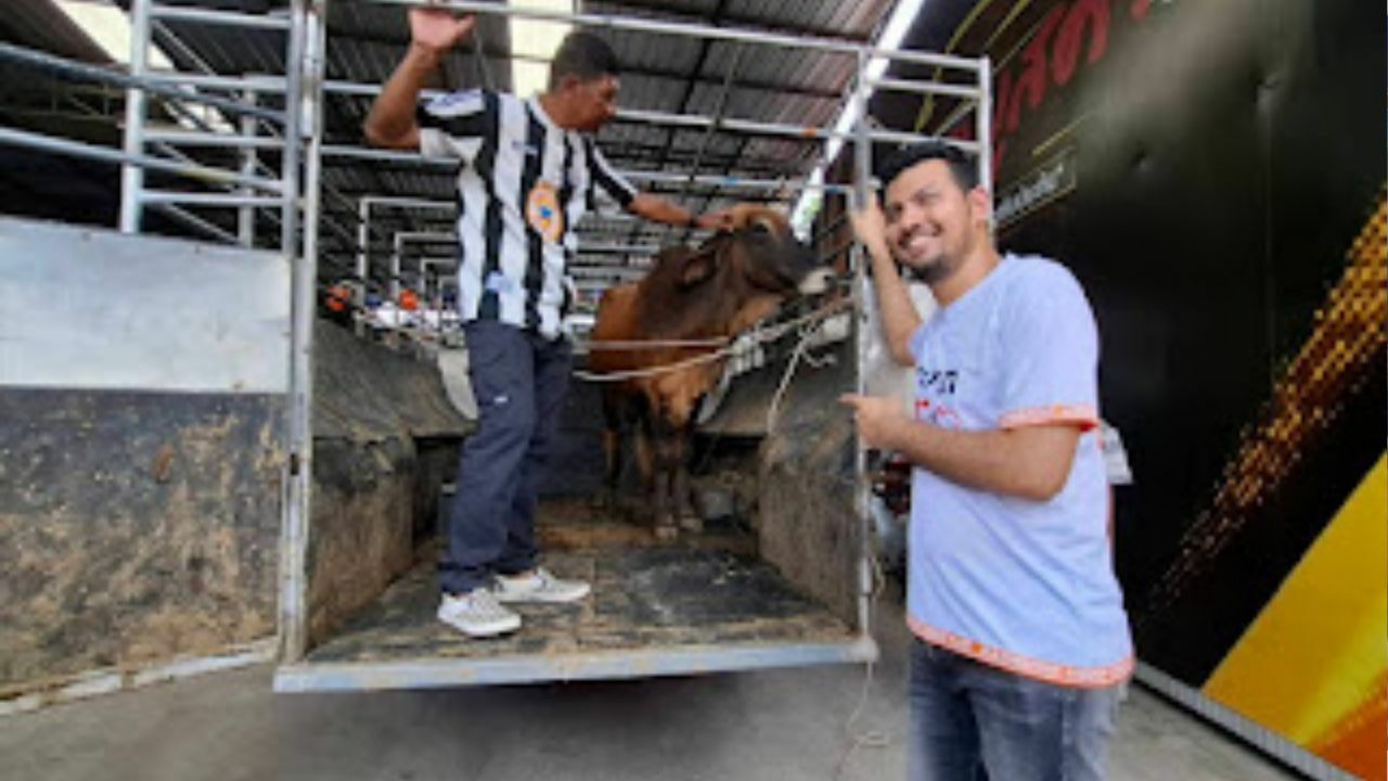 Moo-tor deals: Yala car boss throws in a cow with every sale
