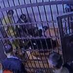 Tragic death of man in Thai police custody raises questions | Thaiger