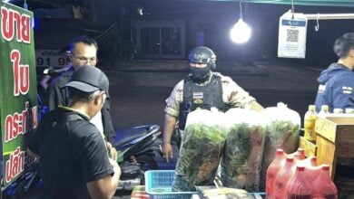 Pattaya police bottle kratom cocktail racket in midnight raids