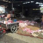 Illegal slaughterhouse uncovered in Nakhon Sawan City | Thaiger