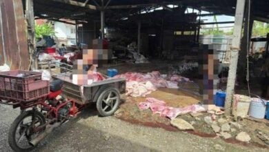Illegal slaughterhouse uncovered in Nakhon Sawan City