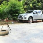 Bomb explosion in Narathiwat kills ranger, injures five | Thaiger