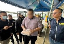 Illegal frozen chicken operation uncovered in Nakhon Pathom